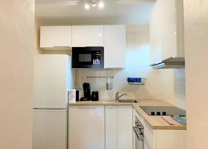 L'allier 21 - Parking - Hypercentre - Thermes 维琪