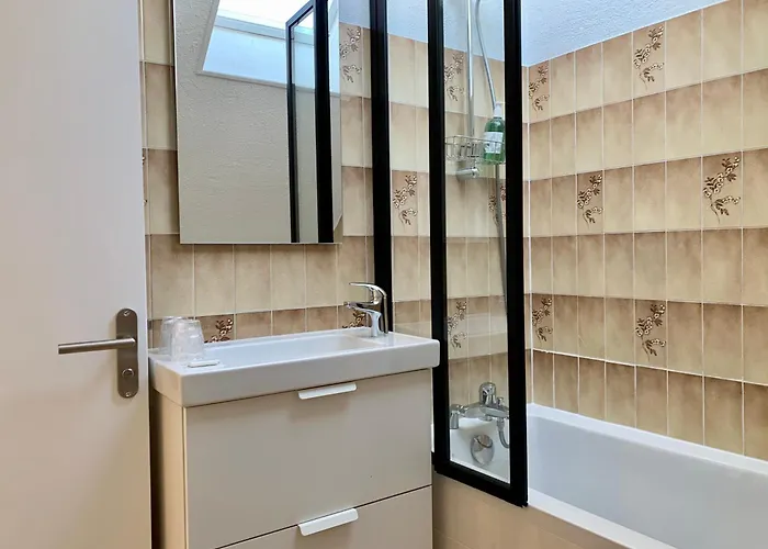 L'allier 21 - Parking - Hypercentre - Thermes Apartment *